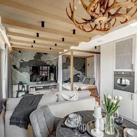 Apartament Aon Premium Torunska