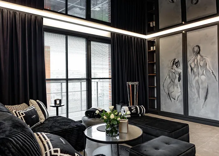 Apartament Aon Premium Torunska *