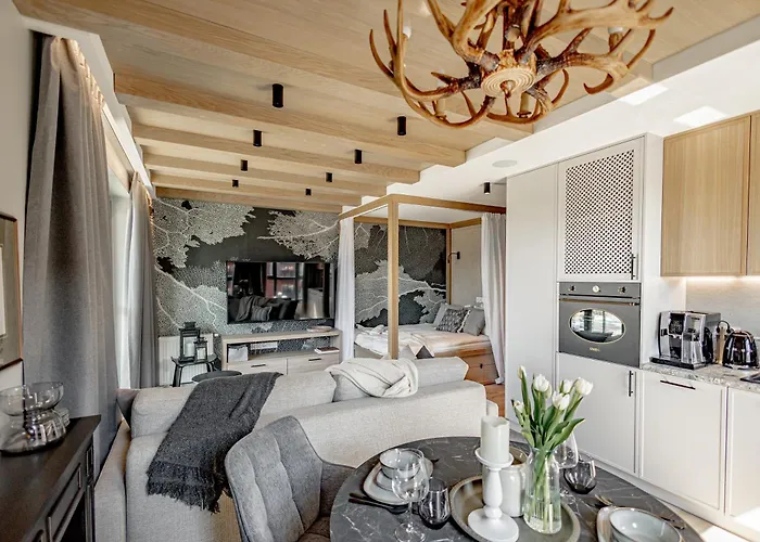 Apartament Aon Premium Torunska